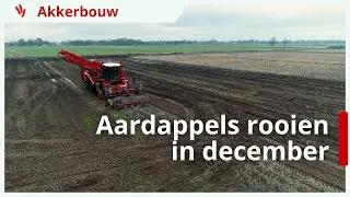 Aardappelen rooien in December: uitdagingen voor akkerbouwer Robin Kuper