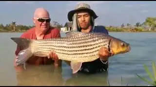 Fishing for Julien's Carp with Stew in Udon Thani Thailand - (Probarbus Jullieni)