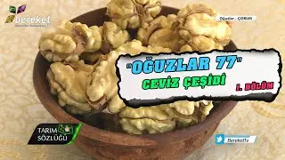Tarım Sözlüğü | 