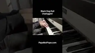 A take from the electric piano recording session inspired by the vibe of Riders by Doors. #piano