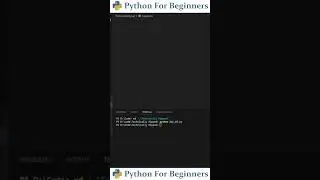 How To Export To CVS Using Pandas | Python For Beginners
