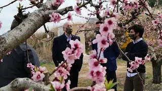 Vicente del Bosque en Calanda para promocionar su melocotón