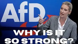 Why is the AfD in Germany so Strong? &ndash; The 2025 Election Explained