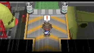 Mistralton City Gym Experience