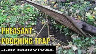 Pheasant Poaching Trap