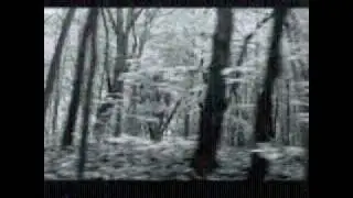 Zelienople - Softkiller
