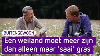 Waarom een saai groen weiland slecht is voor de natuur - BuitenGewoon