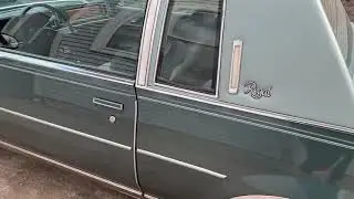 81 Buick REGAL (MINT)