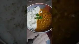 Werbung &deg; YouCook Indian Style Linsencurry 🍛🥄 #youcook #linsencurry #vegan #fertiggericht #foodtest