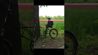 A single speed belt drive Alex Moulton bike (5.2025)