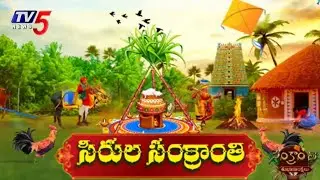 సిరుల సంక్రాంతి | Sankranthi Celebrations In Telugu States | TV5 News