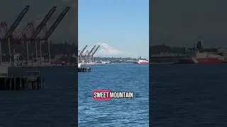 The sun comes out in Seattle #mtrainier #pnw #isthemountainout #elliotbay