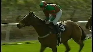 2003 Martell Fox Hunters  Divet Hill  Aintree