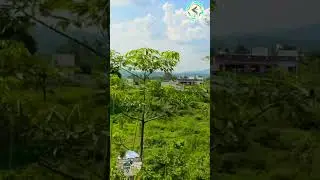 @SamvadCharcha #nangaldam #nature #journey #nangal #love #city #travel #beautyofnature #travelling