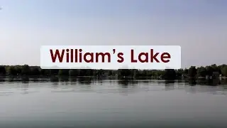 Tranquil Haven: Exploring Williams Lake in Grey County
