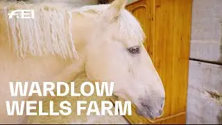 Curly hair, we don't care 🐴🤩  the American Bashkir Curly Horse | RIDE presented by Longines