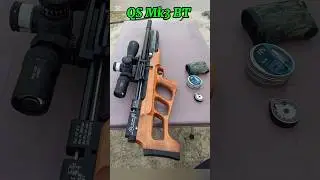 QS Mk3 BT PCP Airgun #pcphunters #hunting #birds #huntinginpakistan #greenpigeon #viral #vlog