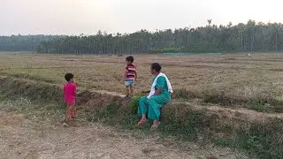 നാടൻ ഉച്ചയുണ്