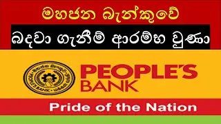 මහජන බැන්කුවේ 2025 බදවා ගැනීම් ආරම්භ වුණා : People&rsquo;s Bank Job Vacancies 2025 | How to Apply