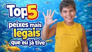 Hoje conto pra vocês, um pouco sobre os 5 peixes mais legais que eu já tive.