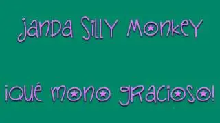 Best Fantasy Fonts