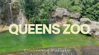 Queens Zoo, NYC📍 Adventures for Nature and Animal Lovers: California Sea Lions 🦭 and more