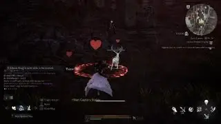 Carz ghost stag tame