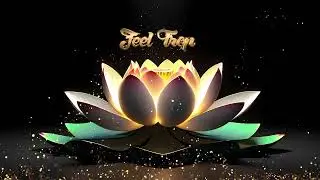 Feel Trop | Tropical Beat Intrumental