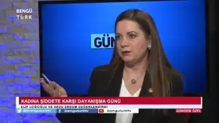 MHP İSTANBUL MİLLETVEKİLİ ARZU ERDEM 25.11.2015 KADINA ŞİDDETLE M&Uuml;CADELE G&Uuml;N&Uuml;