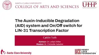Toth SCU 2022 Honors Thesis Presentation