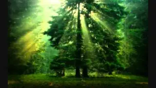 LuX-Perfect life (progressive remix):::Avicci style:::flp download!!!