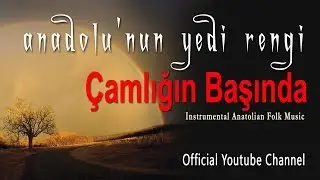 Ali Haydar Timisi - Çamlığın Başında  (Bağlama ile Enstrumantal Türküler) [© 2020 Soundhorus]