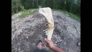 Primitive weapon - Roughing out a moose jawbone tomahawk from a wolf kill. Part 2