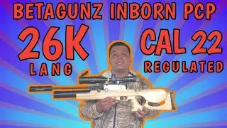 BETAGUNZ PCP NEW UPGRADE!