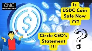 is USDC Coin Safe Now ??? Circle CEO's Statement !!!
