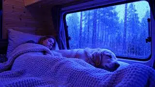 Deep Sleep Thunder and Rainstorm Sounds for Calm Nights and Relaxed Mind