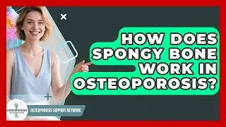 How Does Spongy Bone Work In Osteoporosis? - Osteoporosis Support Network