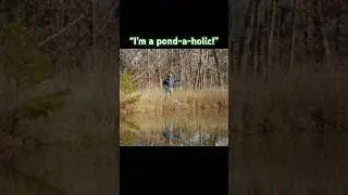 Joel Salatin on the importance of planning ponds on your #farm or #homestead #agriculture #ponds