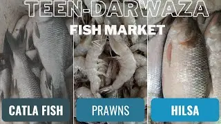 Teen Darwaza Fish Market || Ahmedabad || Lal Darwaza || Best & Cheap Fish market in Ahmedabad