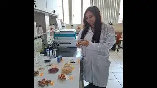 Ang&eacute;lica Baena: la cient&iacute;fica que lidera grupo de investigaci&oacute;n con m&aacute;s mujeres en la UNI