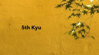 5th Kyu