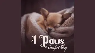 Gentle Paw Harmony