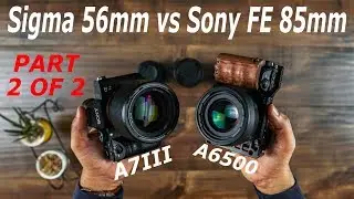 Sigma 56mm 1.4 Vs Sony FE 85mm 1.8 on A6500 Part 2 of 2 | (Urdu/Hindi)