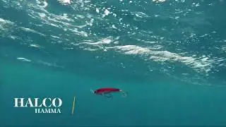How Lures Swim: Halco Hamma