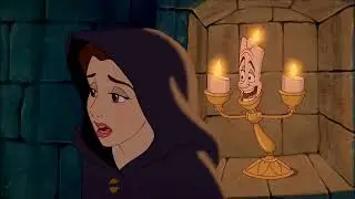 La belle et la b&ecirc;te - Premi&egrave;re rencontre