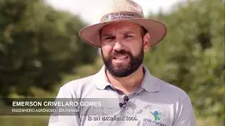 CABI Setoristas