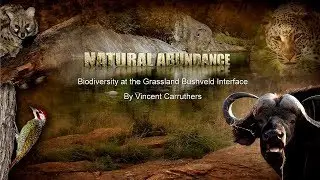 Natural Abundance -Part 4
