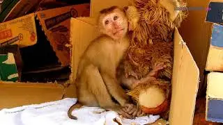 Poor orphan Axel very sad face tired sleep 0n his friend toddle bear-Axel deep sleep dream miss home