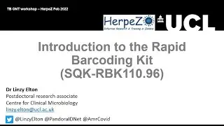 Library preparation with the rapid barcoding 96 kit (SQK-RBK110.96)