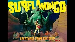 Surflamingo - Door to Hyperspace